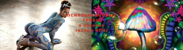 MESCALINE Баксан