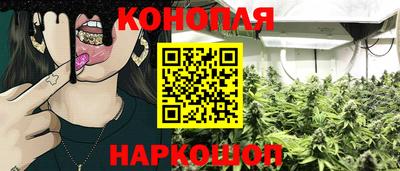 мдма Кингисепп