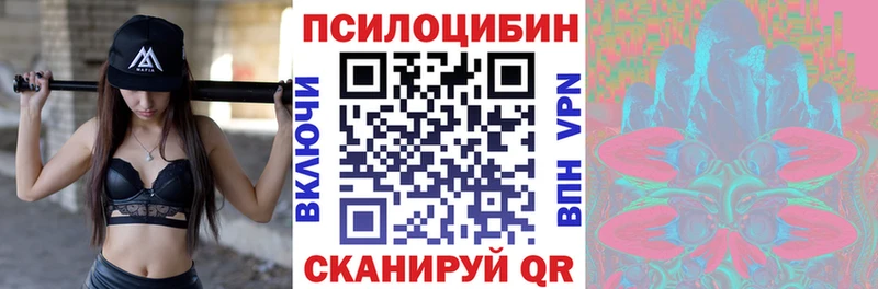 магазин    Корсаков  Галлюциногенные грибы прущие грибы 