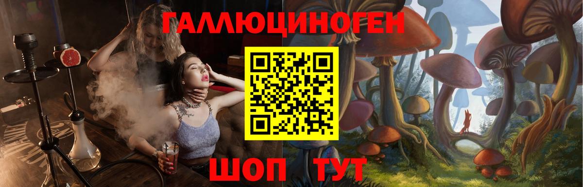 Корсаков  Галлюциногенные грибы GOLDEN TEACHER  Вход с VPN 